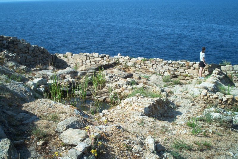 Photograph